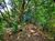 Terreno, 125 m² - Foto 4