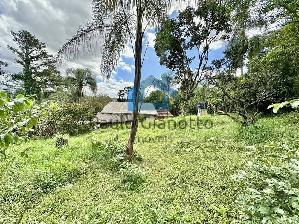 Casa, 3 quartos, 233 m² - Foto 12