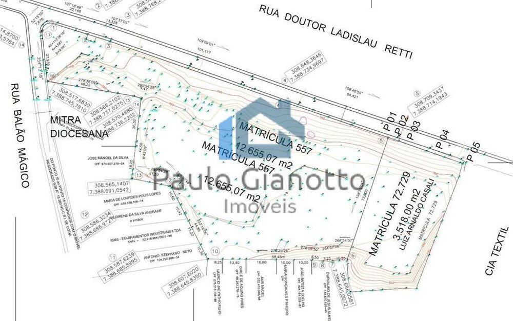 Terreno, 2 hectares - Foto 9