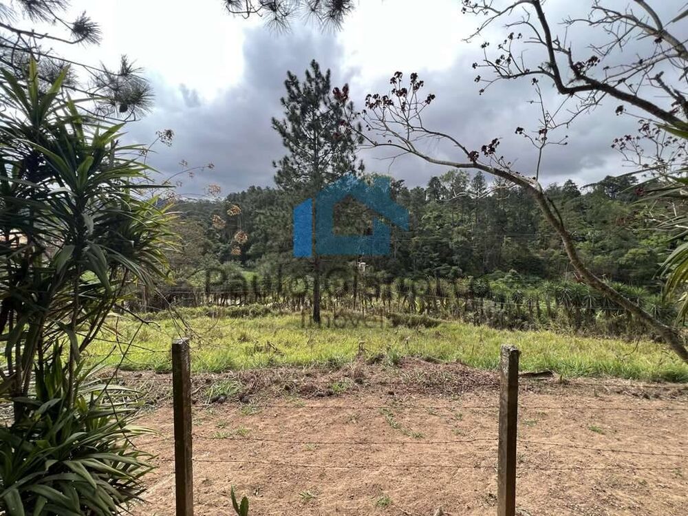 Terreno, 2 hectares - Foto 9