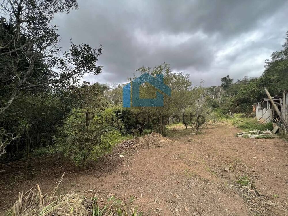 Terreno, 2 hectares - Foto 7