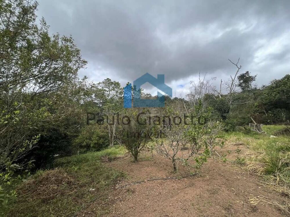 Terreno, 2 hectares - Foto 6