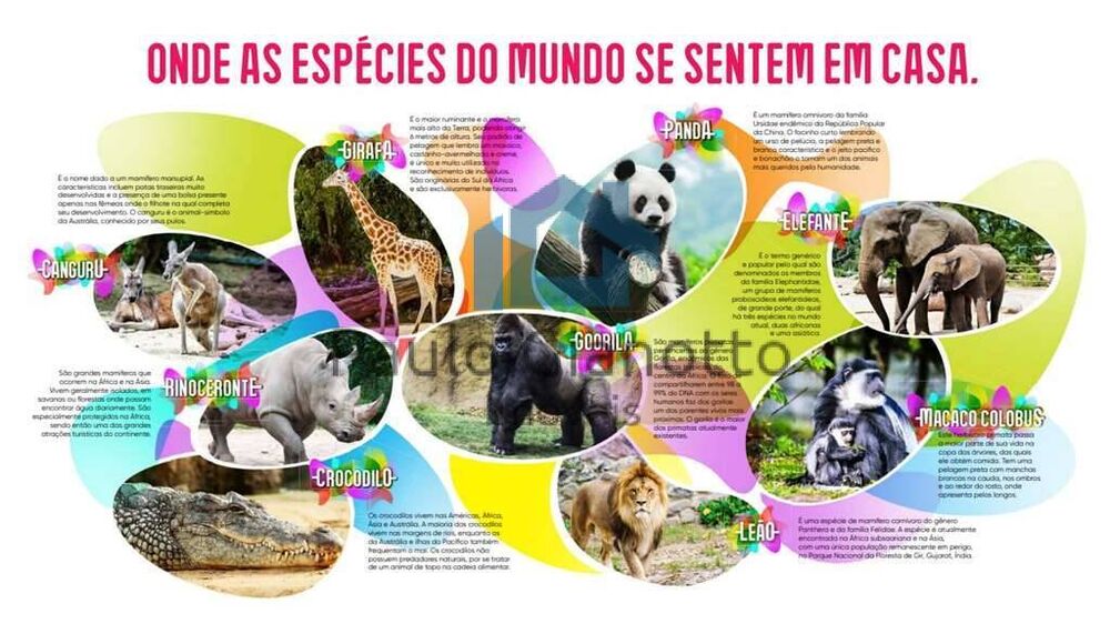 Terreno, 2 hectares - Foto 14