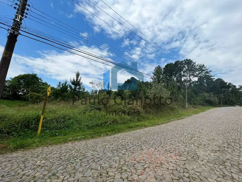 Terreno, 4973 m² - Foto 6