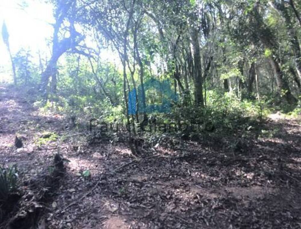 Terreno à venda, 1300m² - Foto 11