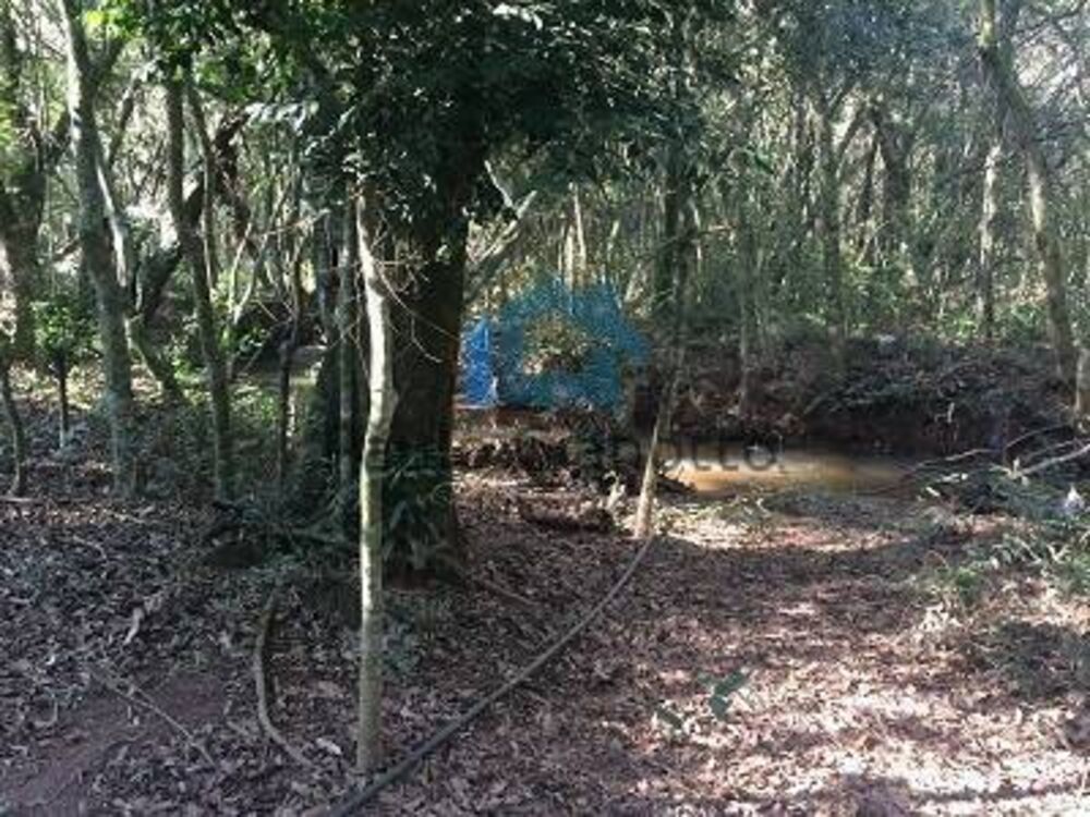 Terreno à venda, 1300m² - Foto 8