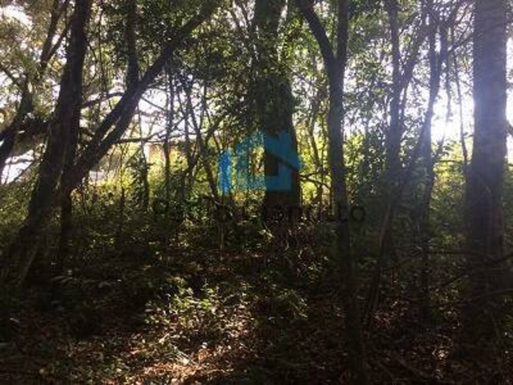 Terreno à venda, 1300m² - Foto 9
