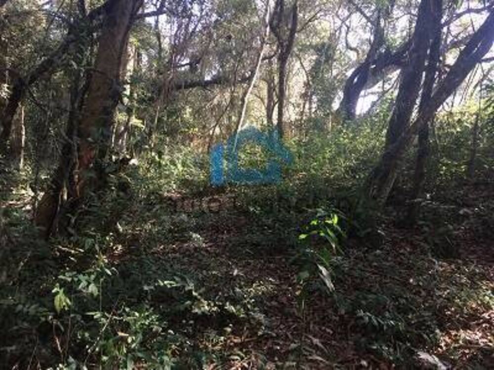 Terreno à venda, 1300m² - Foto 5