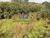 Terreno, 1300 m² - Foto 1