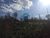 Terreno, 1300 m² - Foto 7