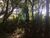 Terreno, 1300 m² - Foto 9