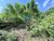 Terreno, 907 m² - Foto 3