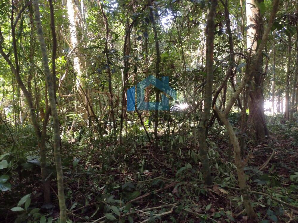 Terreno, 2301 m² - Foto 4