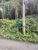 Terreno, 2301 m² - Foto 3