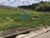 Terreno, 241 m² - Foto 2