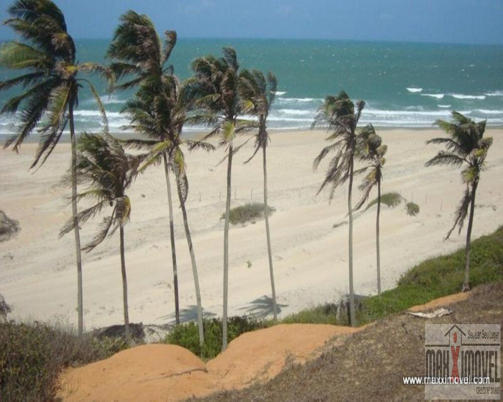 Terreno, 7 hectares - Foto 7