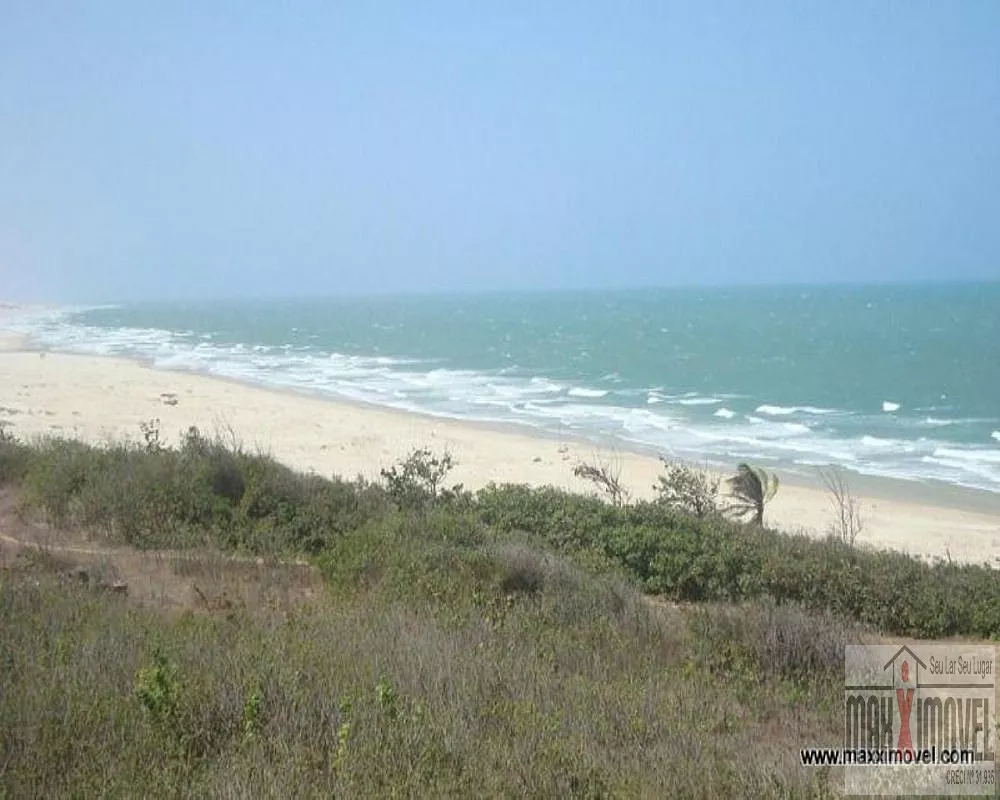 Terreno, 7 hectares - Foto 8