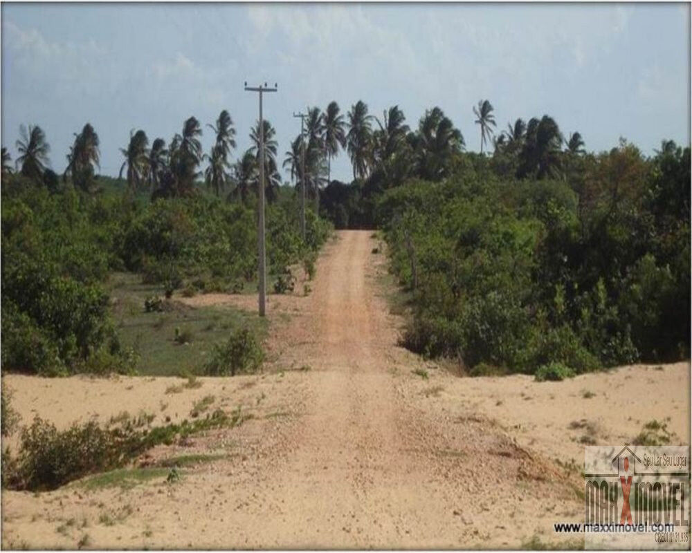 Terreno, 7 hectares - Foto 13