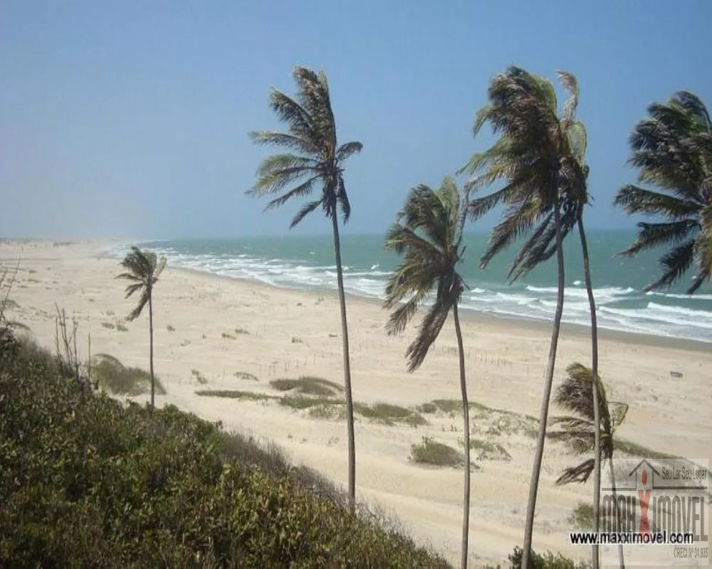 Terreno, 7 hectares - Foto 9