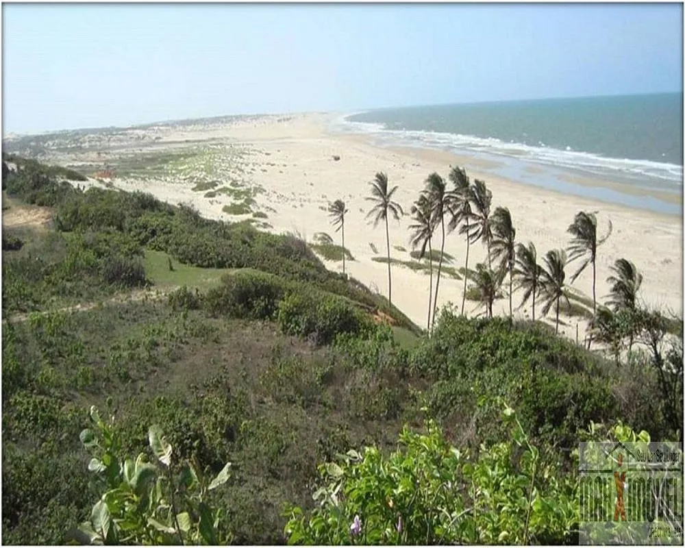 Terreno, 7 hectares - Foto 16