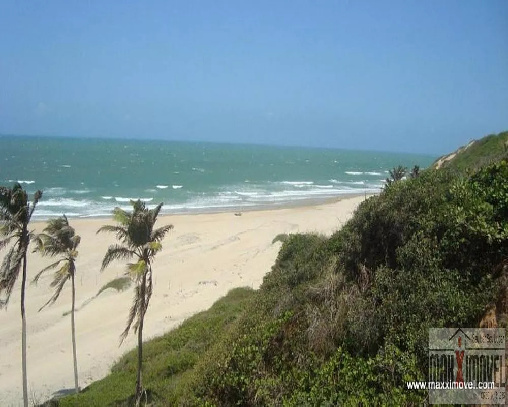 Terreno, 7 hectares - Foto 5