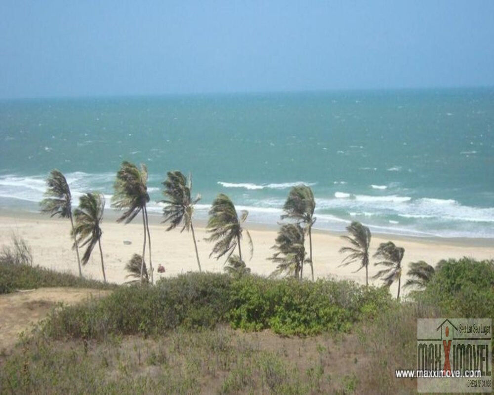 Terreno, 7 hectares - Foto 6