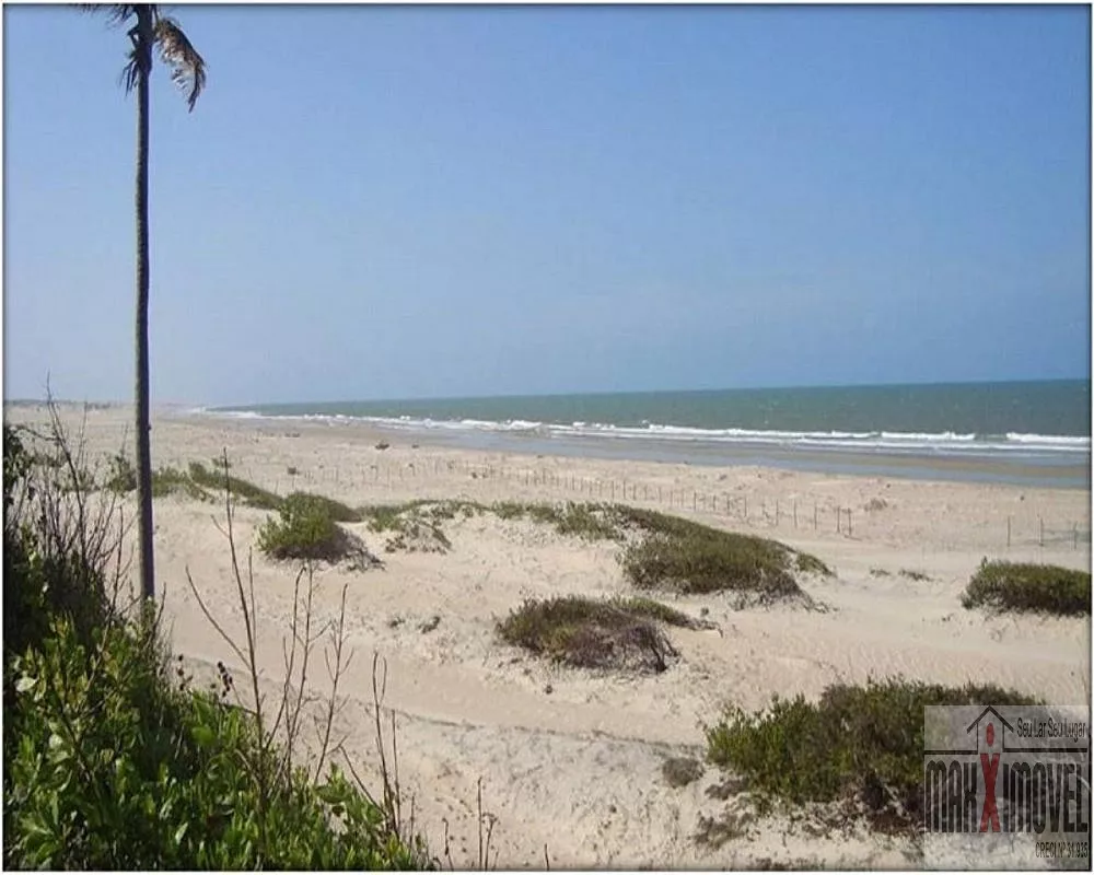 Terreno, 7 hectares - Foto 14