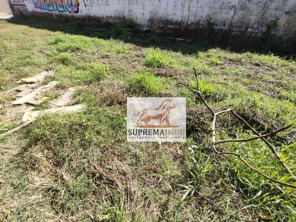 Terreno, 300 m² - Foto 3