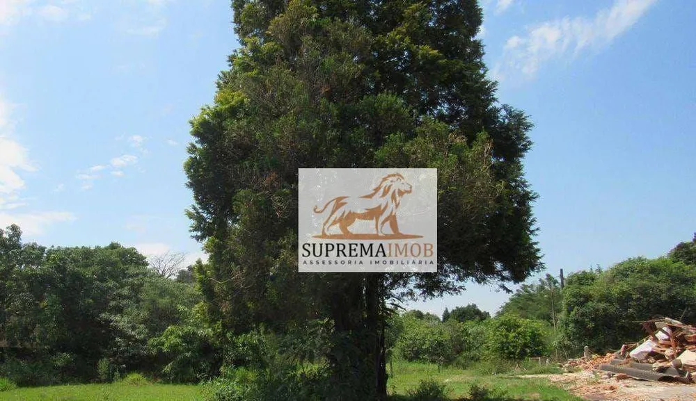 Terreno, 5000 m² - Foto 1