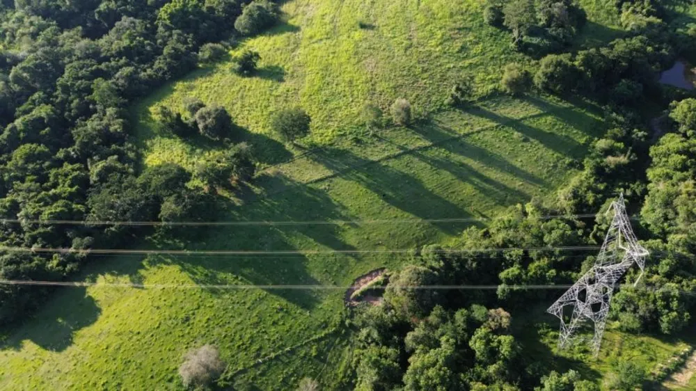 Terreno, 19 hectares - Foto 2