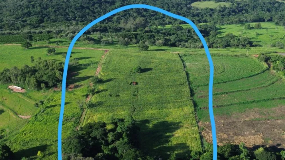 Terreno, 19 hectares - Foto 6