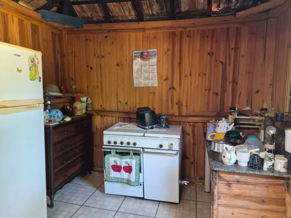 Terreno, 19 hectares - Foto 11