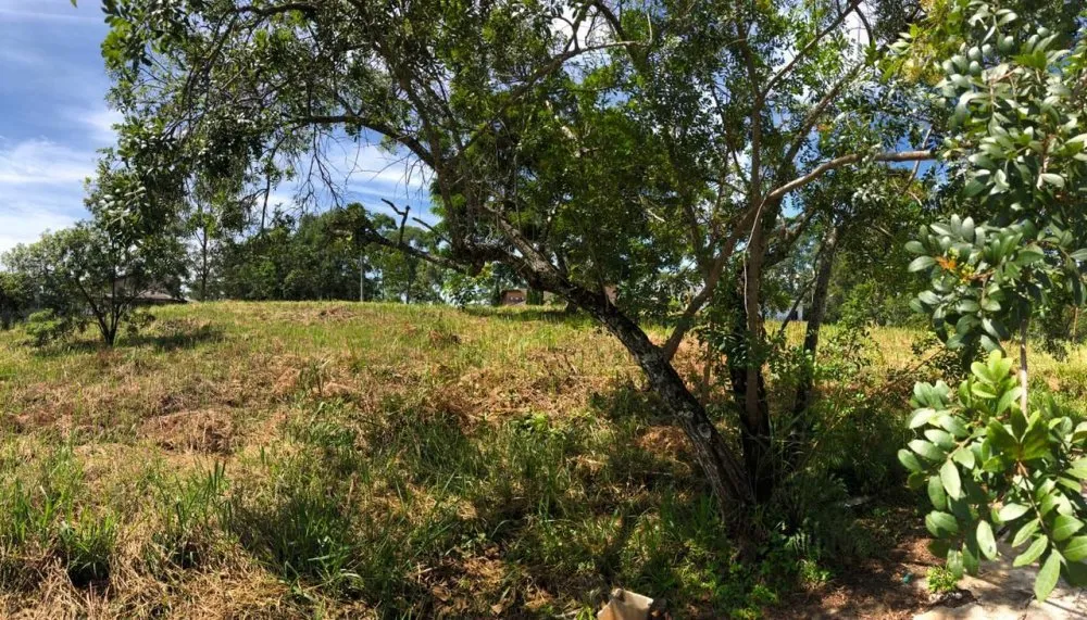 Terreno, 800 m² - Foto 1