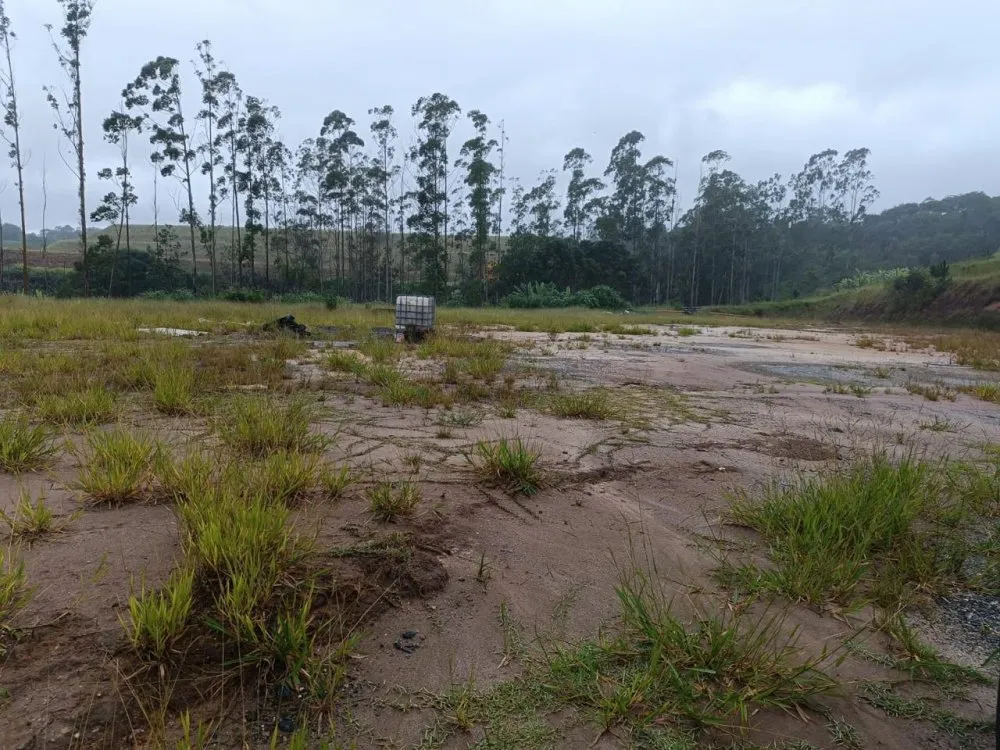 Depósito-Galpão, 4500 m² - Foto 8