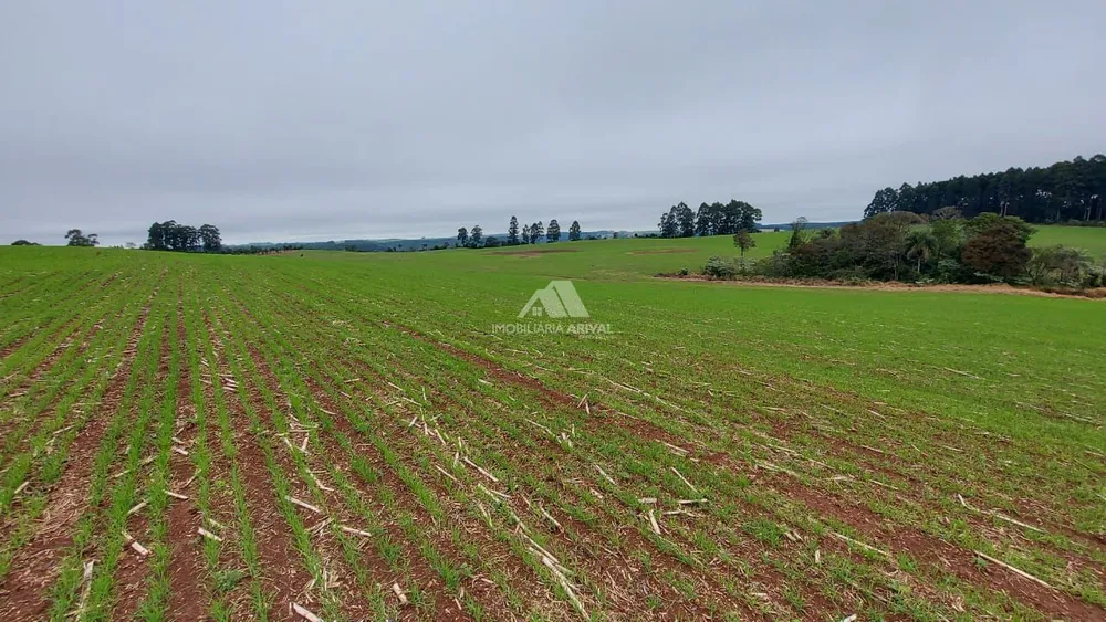 Sítio, 34 hectares - Foto 1