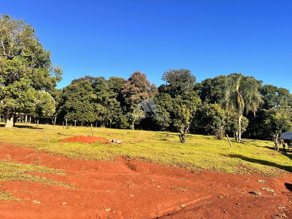 Terreno, 24 hectares - Foto 3