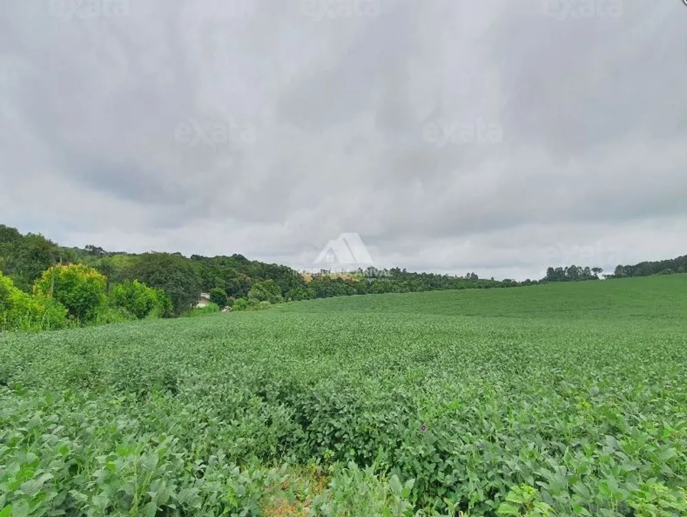 Terreno, 5 hectares - Foto 1