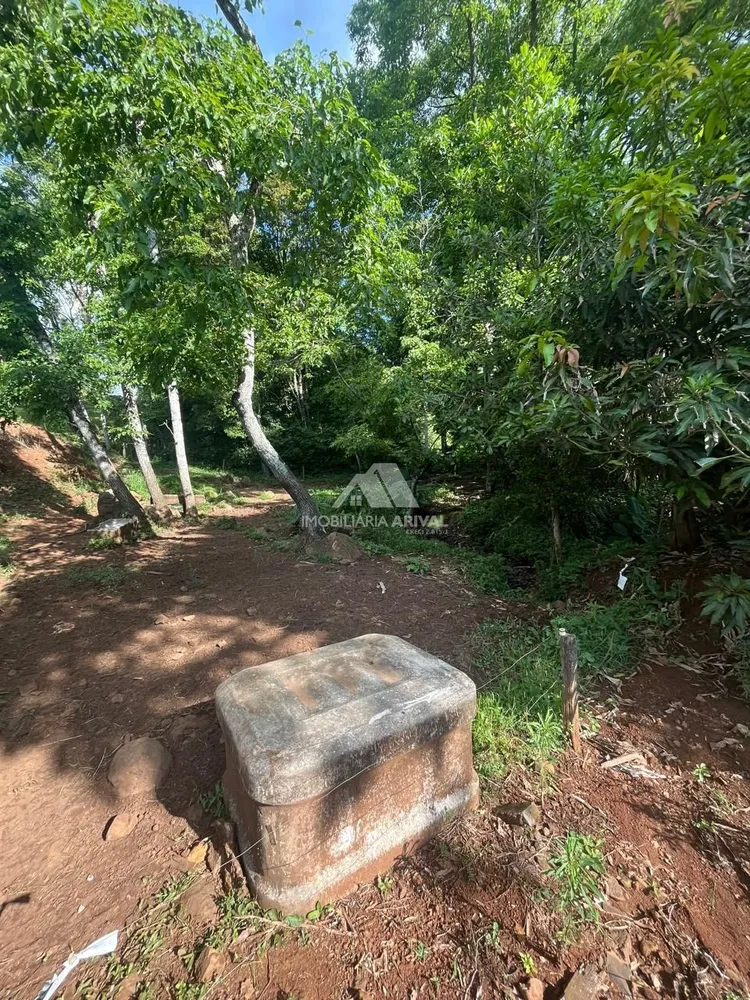 Sítio, 2 hectares - Foto 1
