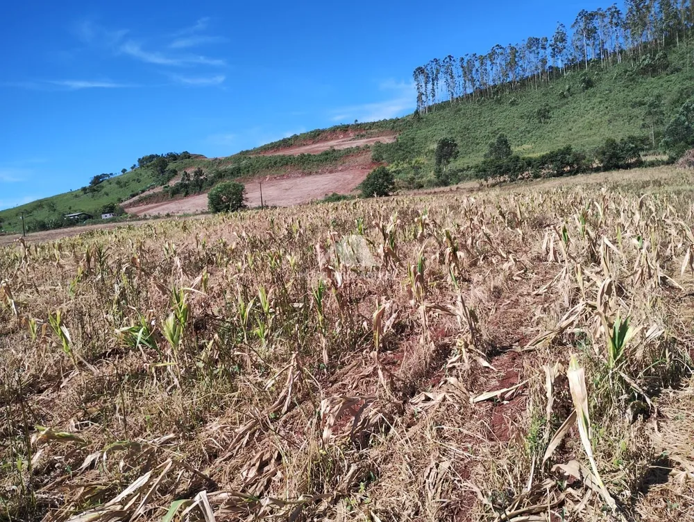 Terreno, 10 hectares - Foto 4