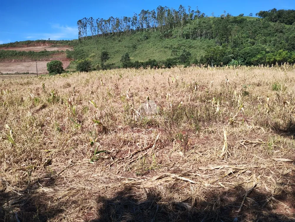 Terreno, 10 hectares - Foto 1