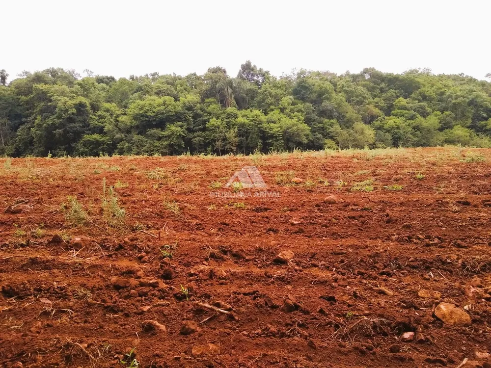 Sítio, 40 hectares - Foto 1