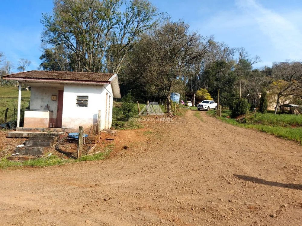 Sítio, 24 hectares - Foto 7