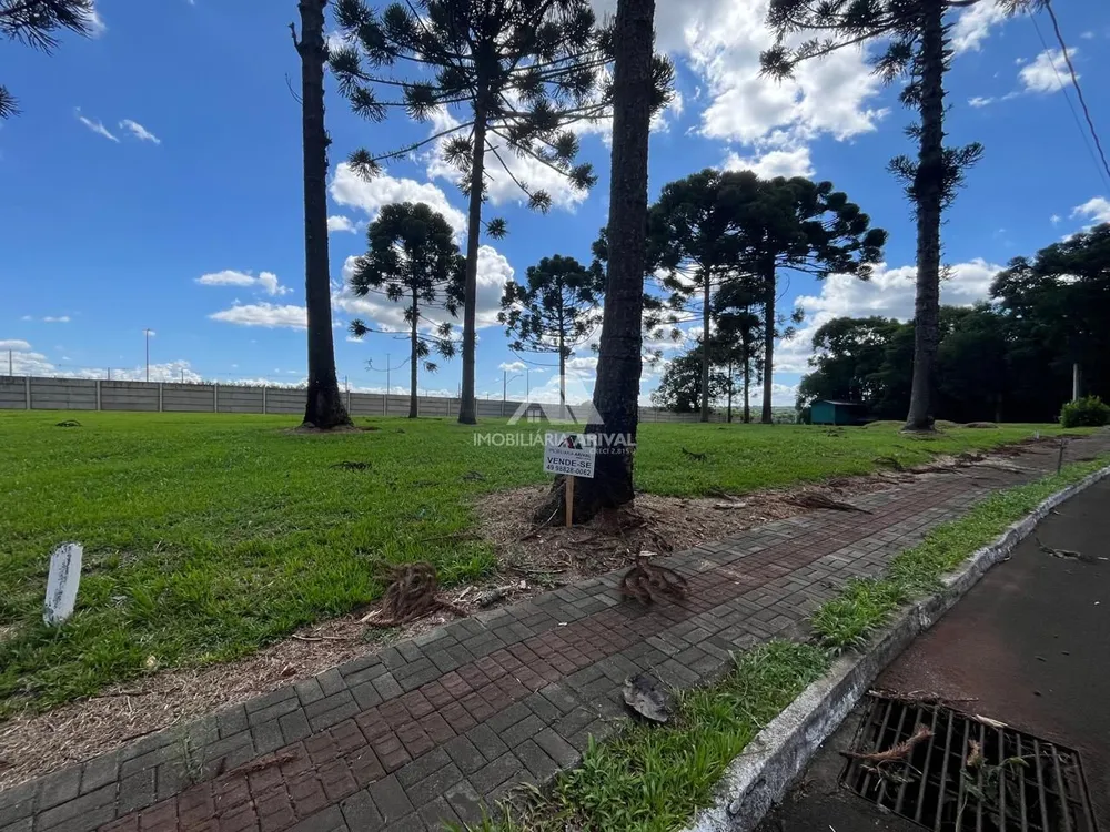 Terreno, 1000 m² - Foto 2