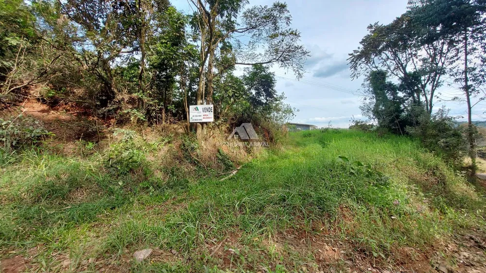 Terreno, 8 hectares - Foto 2