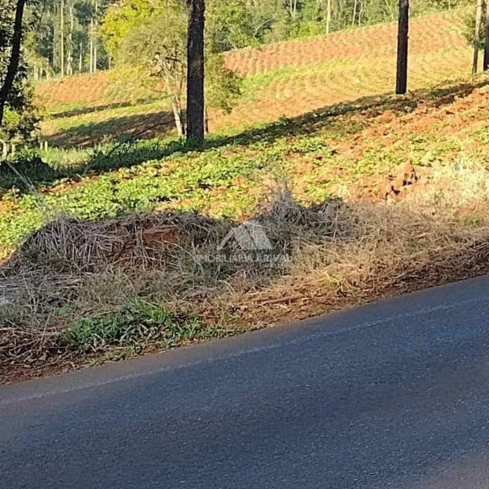 Terreno, 2 hectares - Foto 3