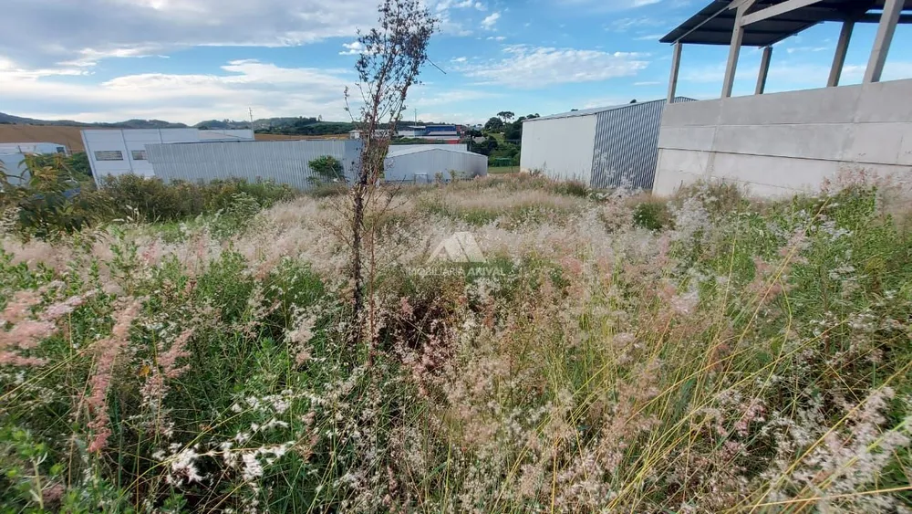 Terreno, 800 m² - Foto 3