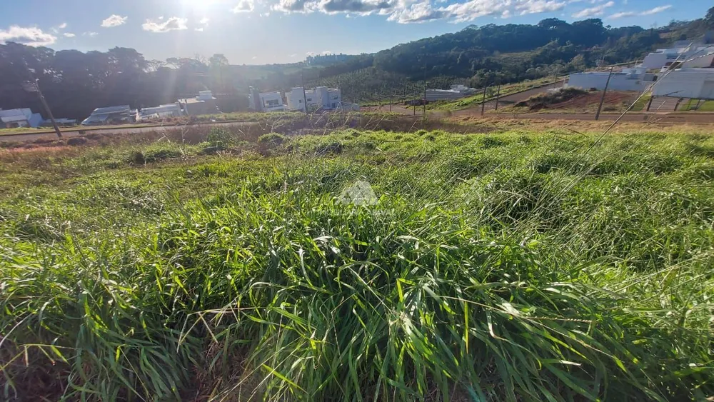 Terreno, 450 m² - Foto 4