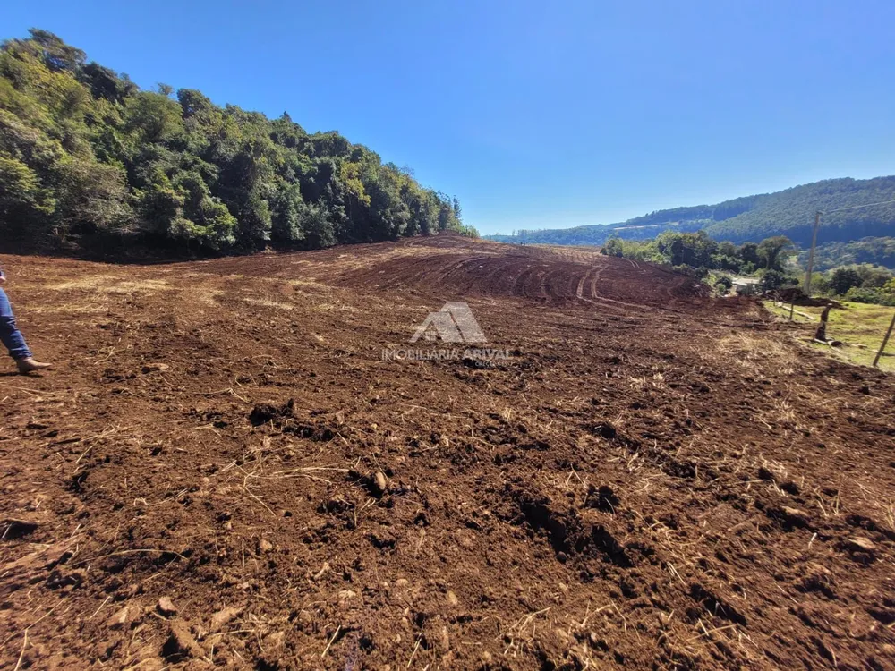 Terreno, 5 hectares - Foto 1