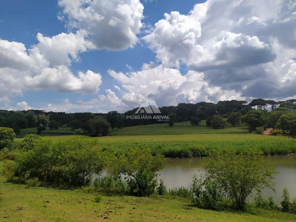 Terreno, 4 hectares - Foto 4