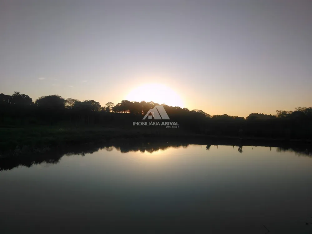 Terreno, 4 hectares - Foto 3